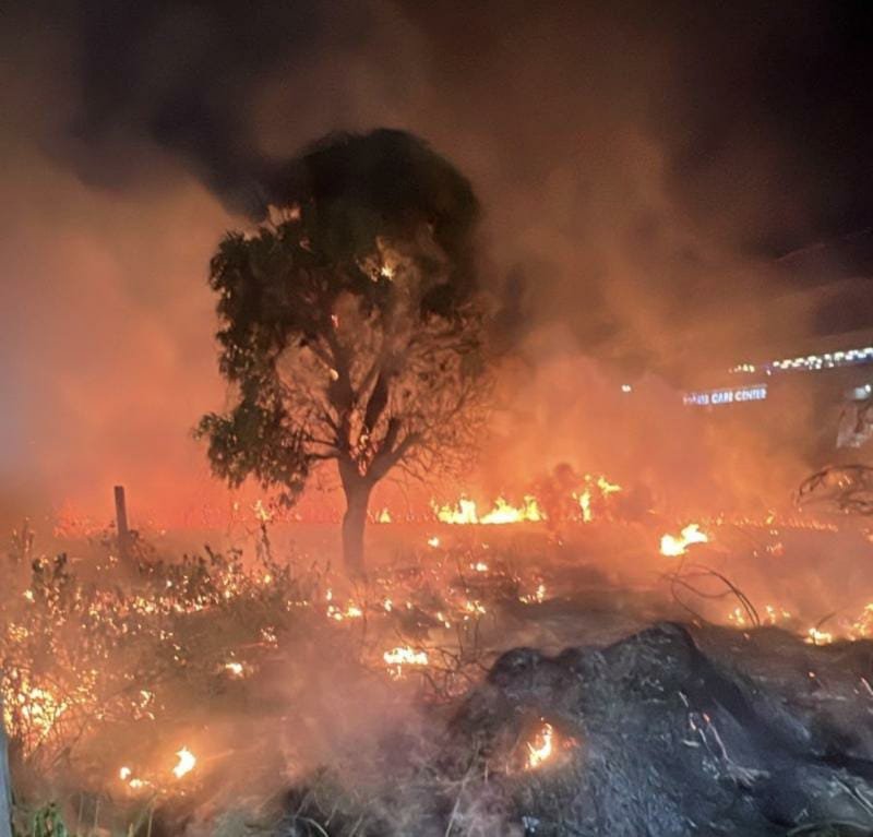 Incêndios em vegetação sobem 10,4% em Manaus