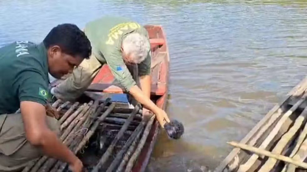 Operação reforça proteção ambiental no Amazonas