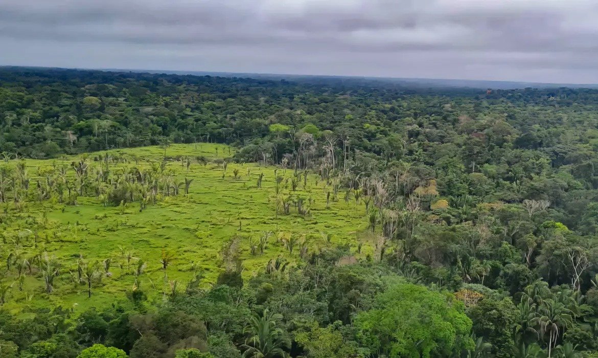 O papel das terras indígenas na preservação da Amazônia