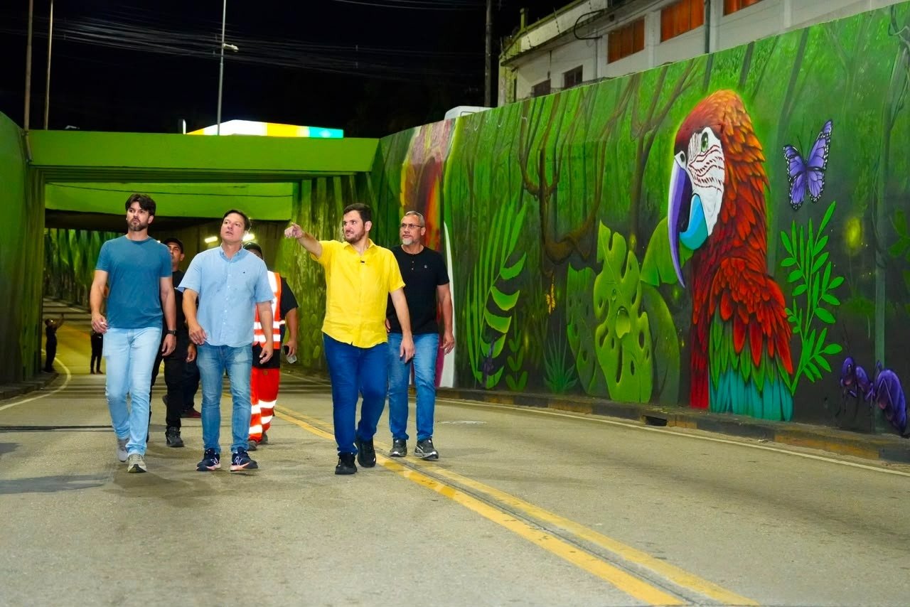 Grafite e paisagismo integram obras de revitalização de viadutos em Manaus