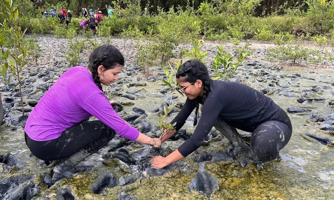 Fórum Ambiental aceita projetos e ações comunitárias até dia 30